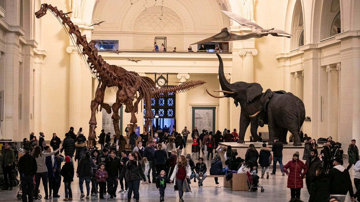 Chicago museum free days for the start of 2026 – NBC Chicago