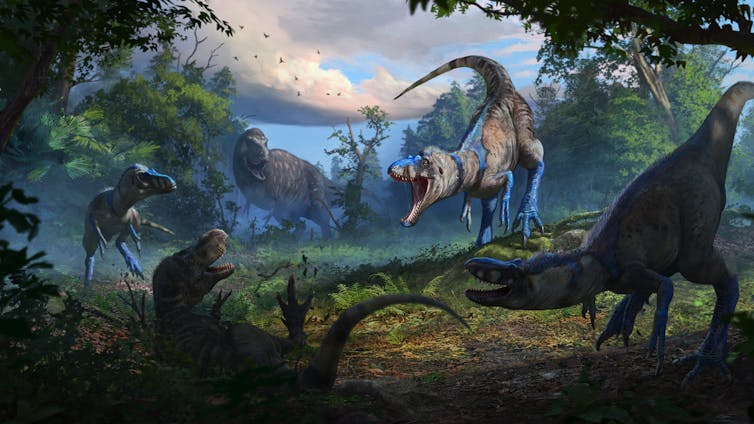 Illustration of dinosaurs preparing for attack.