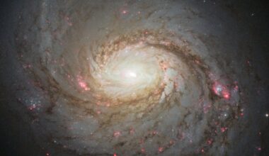 How are dark matter and antimatter different?