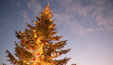 Christmas, holiday events and things to do in San Diego – NBC 7 San Diego