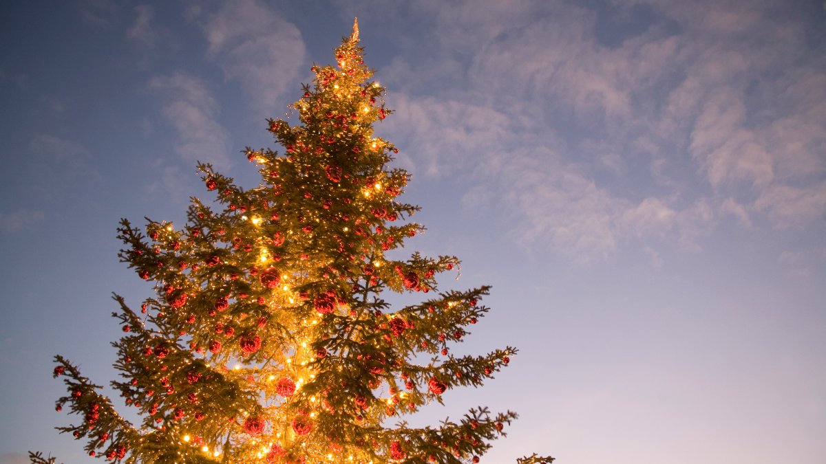 Christmas, holiday events and things to do in San Diego – NBC 7 San Diego
