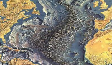 Part of Marie Tharp and Bruce Heezen