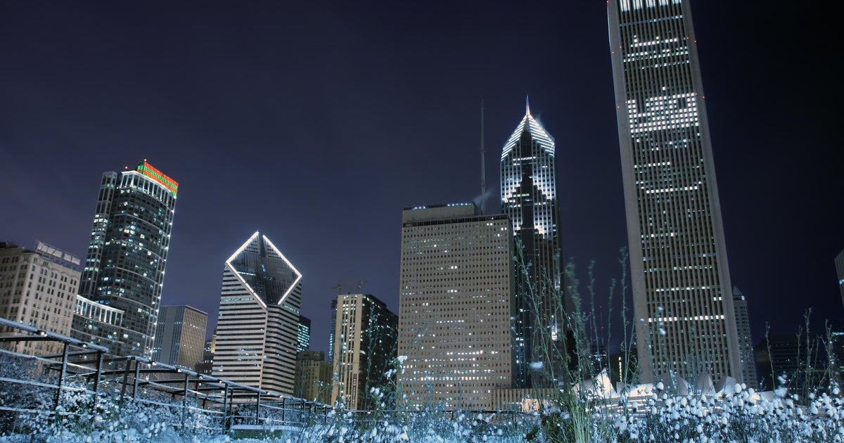 Chicago loses four vegan, vegetarian restaurants in eight days