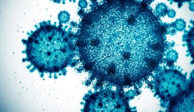 New York breaks a flu record as 2025 cases surge, state health officials say