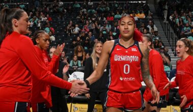 WNBA expansion draft expected to allow teams to protect five players