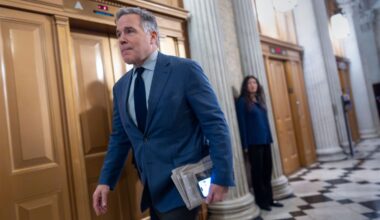 Sen. Dave McCormick says he supports health care subsidies extension during tele-town hall