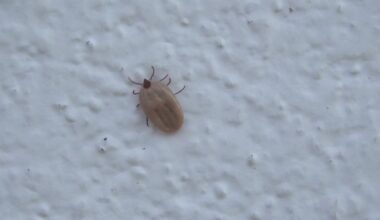 Local doctor’s office looking for people to participate in Lyme vaccine trial