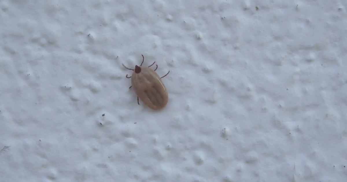 Local doctor’s office looking for people to participate in Lyme vaccine trial