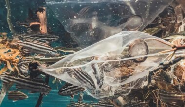 8 million tons of plastic is ripping through the oceans like tornadoes