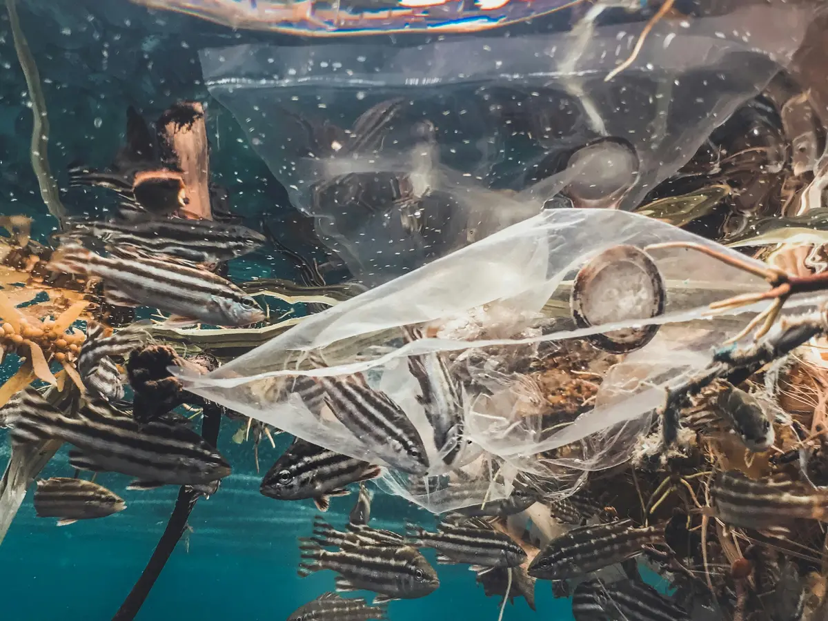 8 million tons of plastic is ripping through the oceans like tornadoes