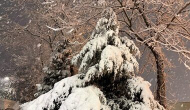 How many inches of snow fell in Philly, New Jersey, Delaware?