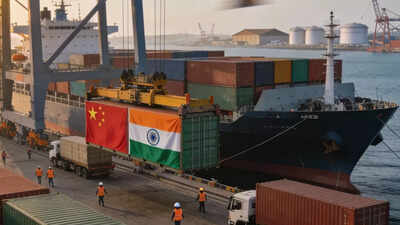 Boom or skewed spike? India’s exports to China jump 90% - but why there is little reason to cheer