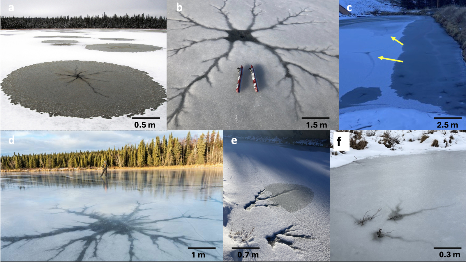 A collage of lake stars on the surface of various lakes on Earth