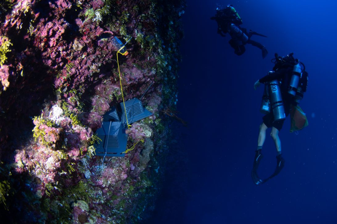 Divers ascend after installing monitoring devices in Guam in 2018. Only specially trained divers can reach the ocean's upper twilight zone.