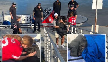 Lifeguards rescue dog swept out to sea near the San Diego coast
