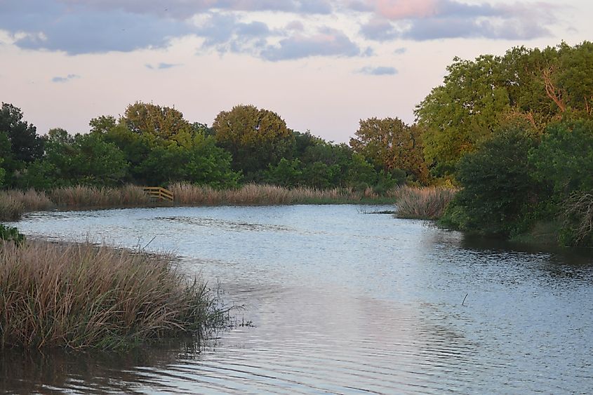 Live Oak Bayou, Jocelyn Nungaray National Wildlife Refuge, Skillern Tract, Chambers County, Texas.
