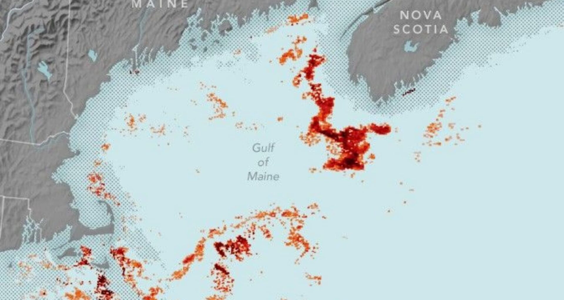 Mapping The Tiny Plankton That Feed Giant Right Whales