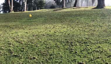 Marginal lands may not have much economic value, but they're incredibly important for pollinators.