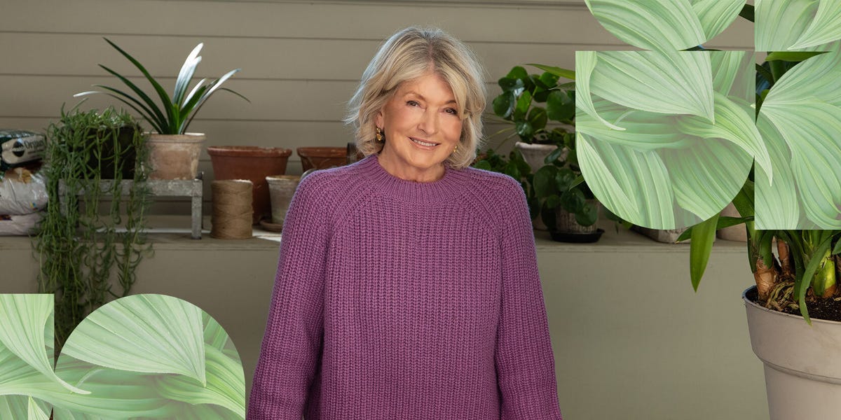 At 84, Martha Stewart still lifts weights and does Pilates at 6:30am – here's her impressive routine