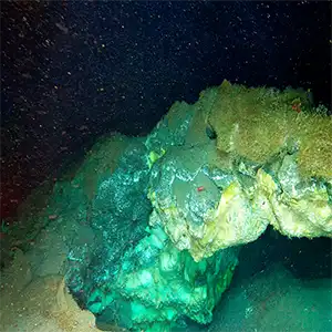 ROV image of a partially collapsed gas hydrate mound in the Molloy Deep (Freya mounds), where exposed gas hydrates are visible beneath sediment cover. Credit: UiT/Ocean Census/REV Ocean