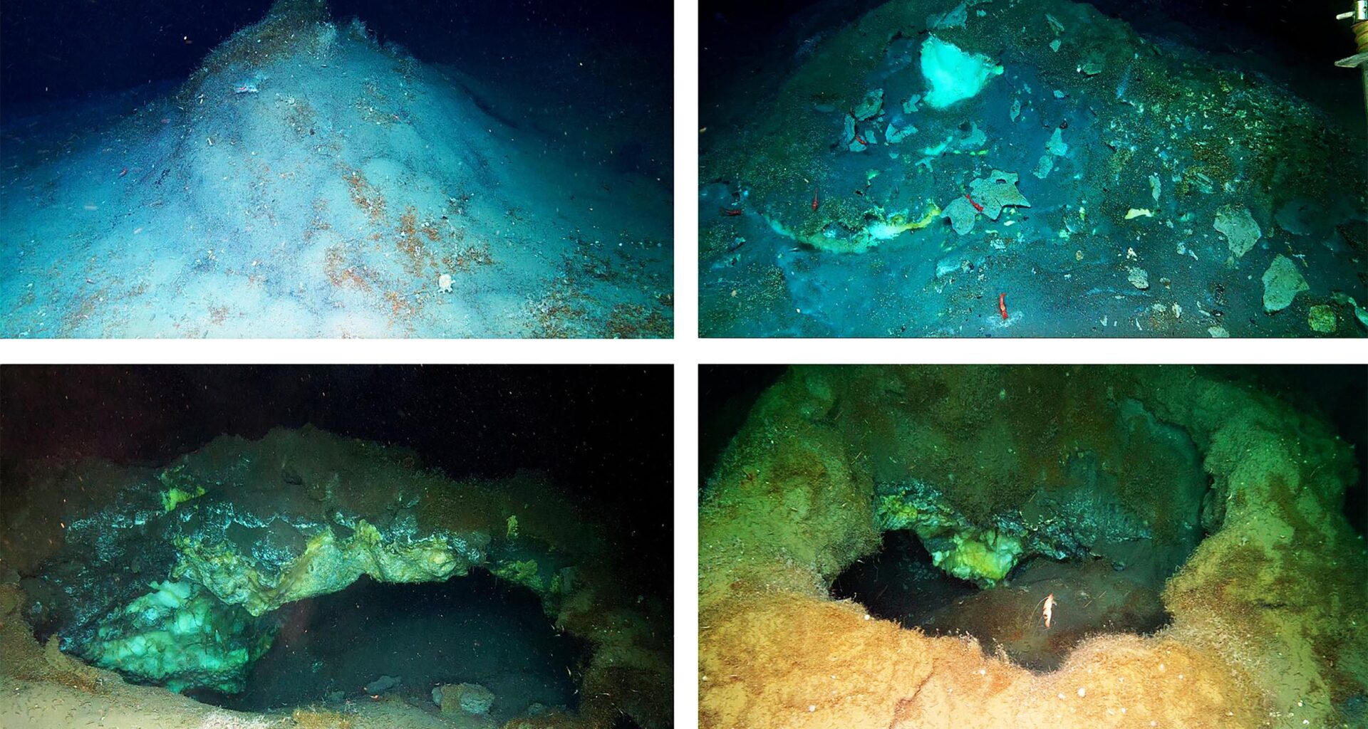 Deep-sea discovery 'rewrites the playbook' for life in Earth's oceans