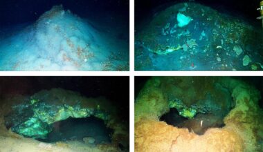 Deep-sea discovery 'rewrites the playbook' for life in Earth's oceans