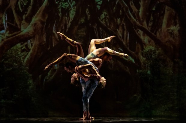 La Jolla Music Society will present Momix dance company performing "Alice" on Dec. 6 at the San Diego Civic Theatre.(Sharen Bradford)