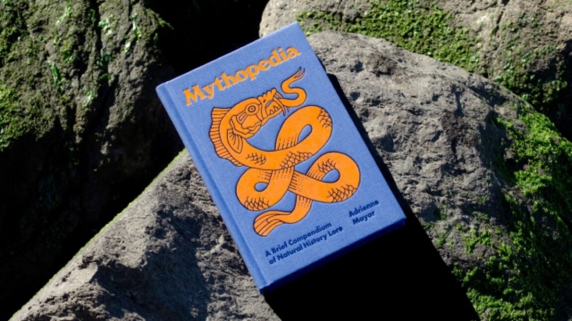 book with cover saving up sitting on a moss-covered rock outside