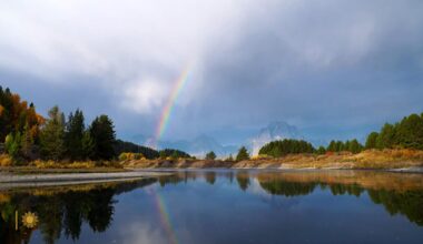 National parks add Trump's birthday to list of fee-free days and remove MLK Day, Juneteenth