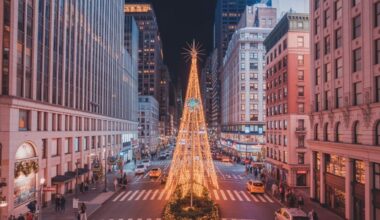 New york surges ahead as the ultimate christmas & new year hotspot — dazzling light shows, parades, events galore. Get ready before you visit!