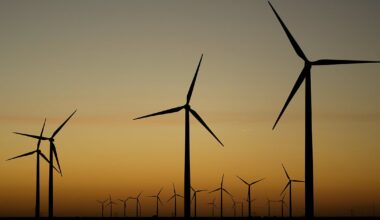 Federal judge throws out Trump order blocking development of wind energy