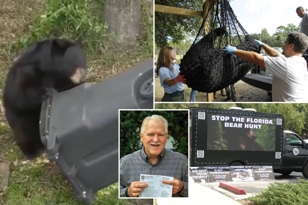 Florida black bear hunting season kicks off for the first time in a decade
