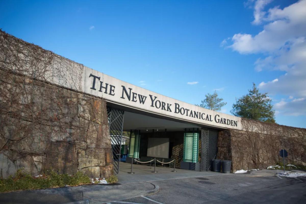 NYC woman, 72, found dead on sidewalk outside New York Botanical Garden