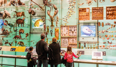 How to plan the ultimate family trip to New York