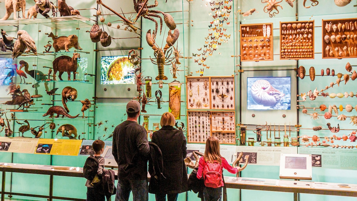 How to plan the ultimate family trip to New York