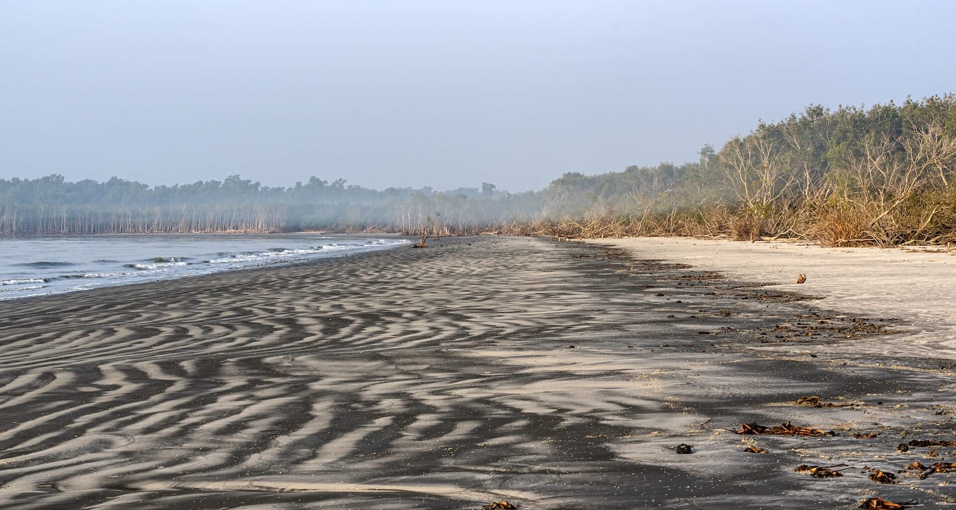 Bangladesh has announced the steady comeback of the Batagur baska, or northern river terrapin — one of the world's rarest freshwater turtles.