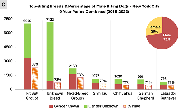 Top-biting dog breeds, percentage of male biting Dogs - Bite Incidents New York City 2015 to 2023