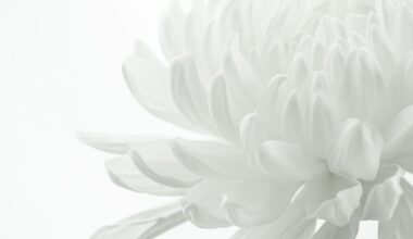 Tsuruko Iwohara - Rafu Shimpo