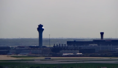 Border Patrol at Chicago O'Hare Airport seizes primate meat from passenger's suitcase