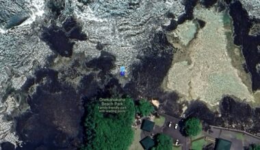 High bacteria levels detected in waters at Hilo beach : Big Island Now