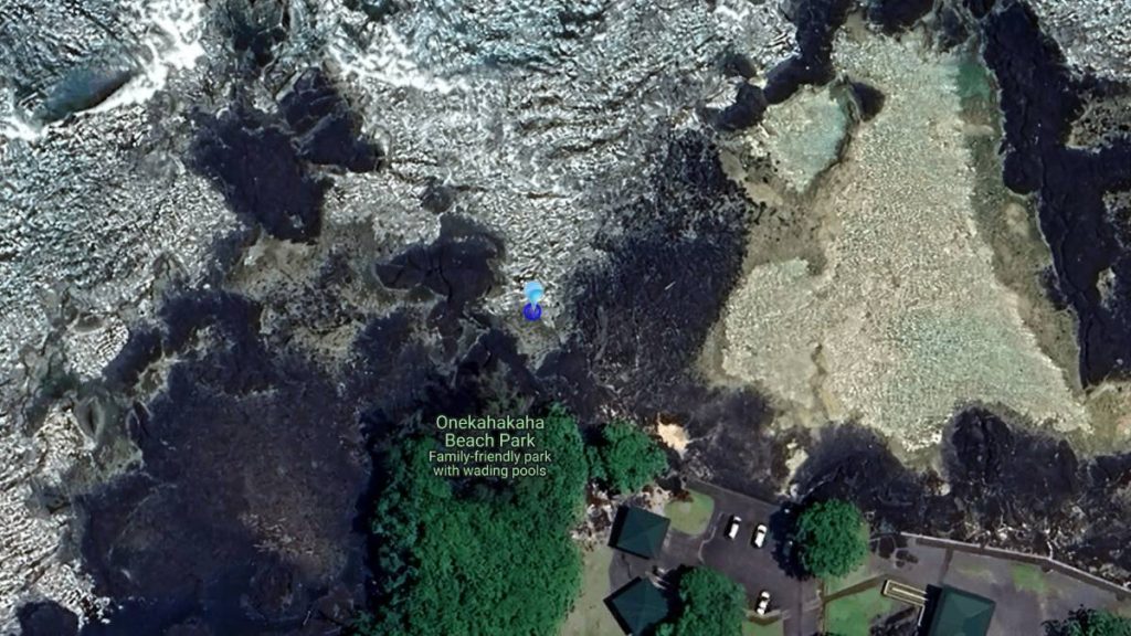 High bacteria levels detected in waters at Hilo beach : Big Island Now