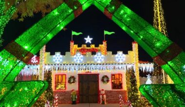 Two Phoenix homes compete on ‘Great Christmas Light Fight’