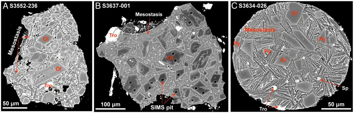 Pnas.2501614122fig01