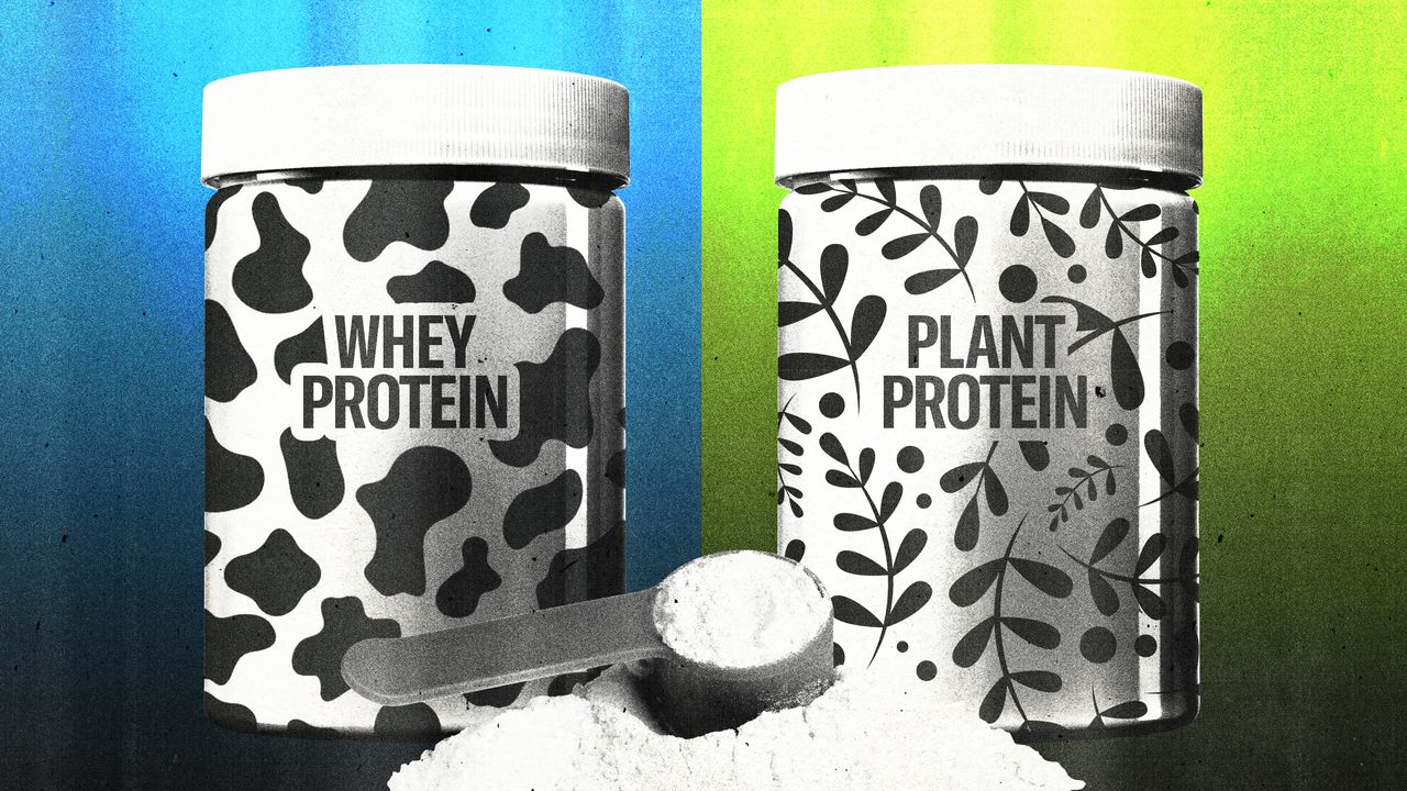 Which Type of Protein Powder Has the Least Lead?