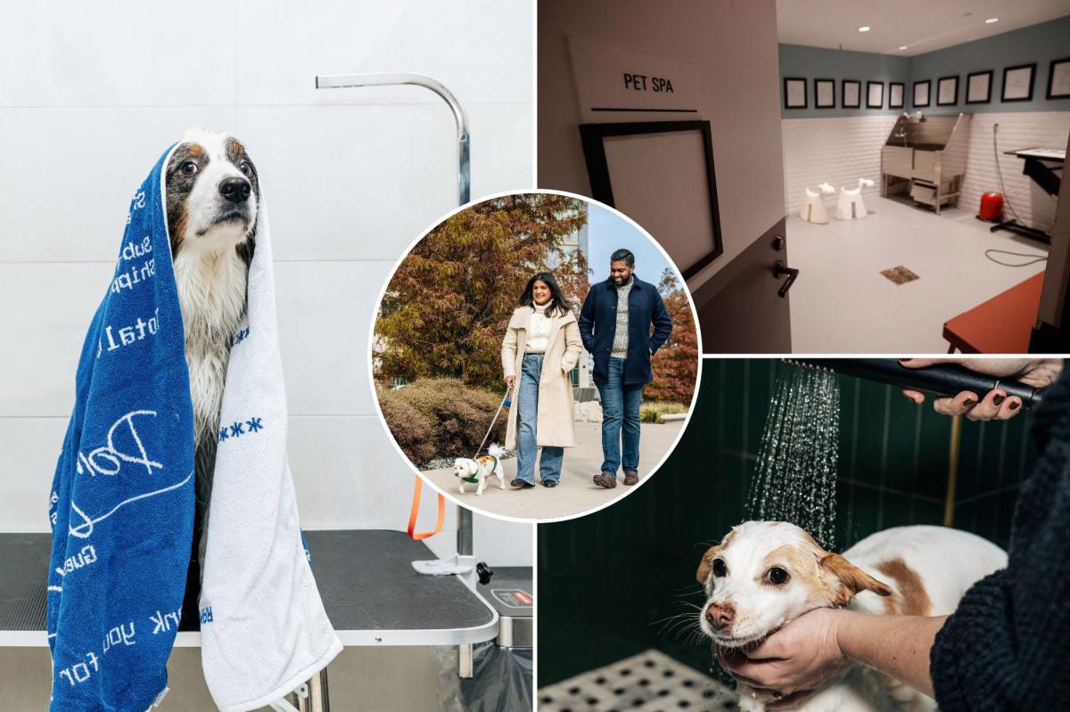 Exclusive | NYC pet amenities are reaching lavish new extras