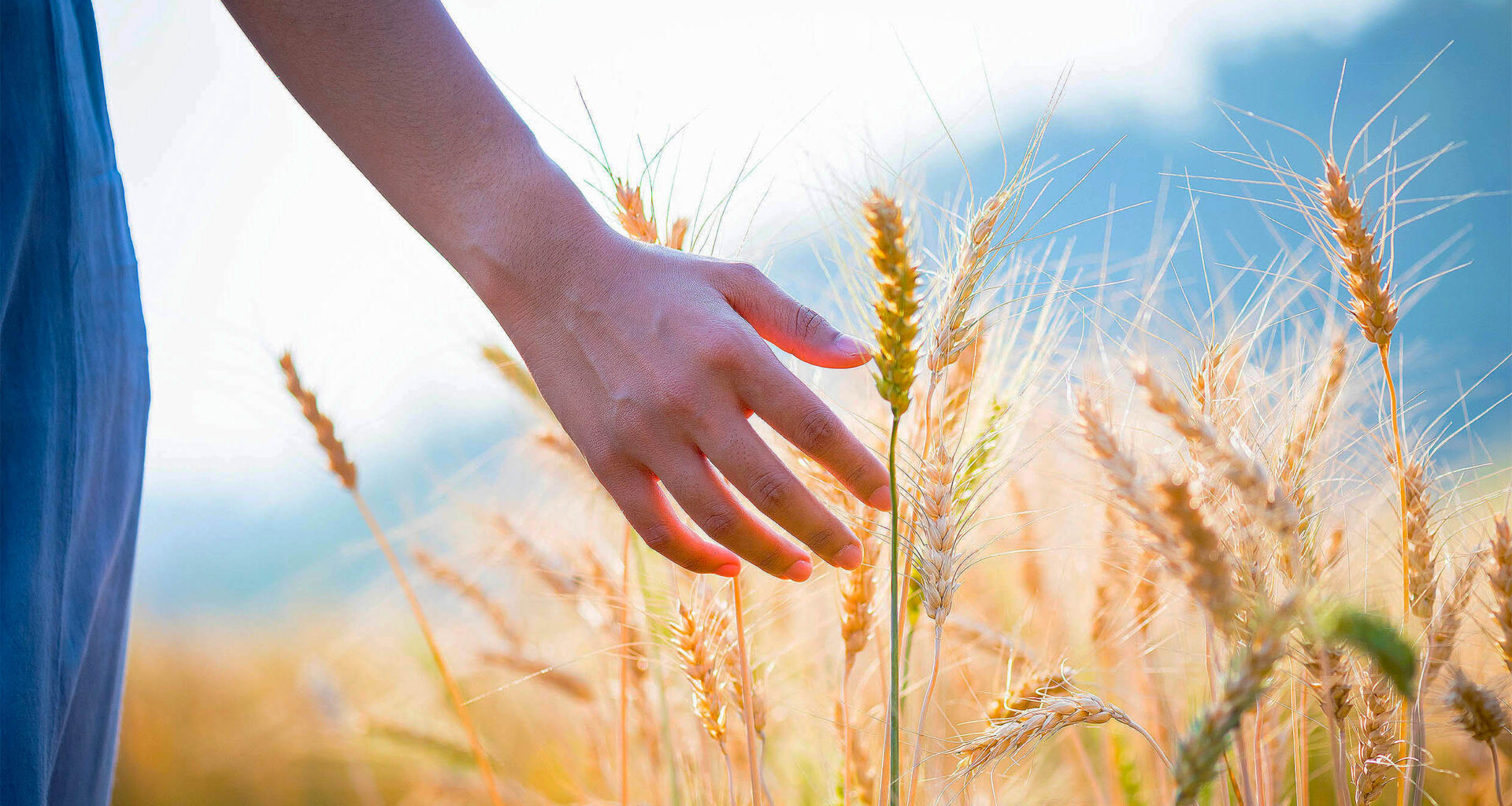 Study shows humans can detect buried objects without touching