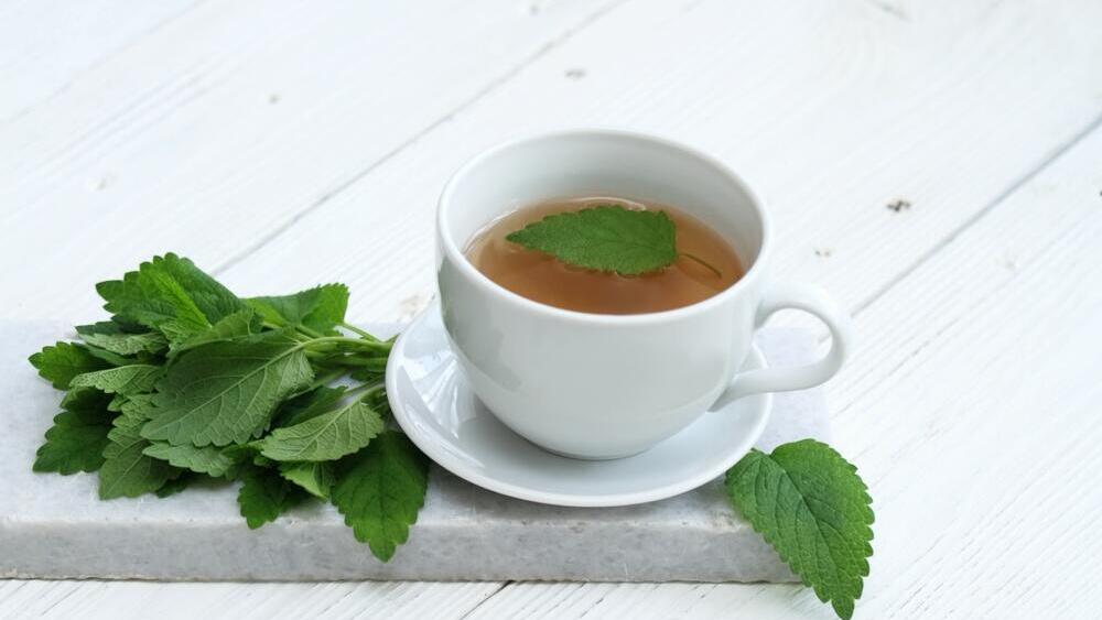 Sedation and pain relief. Medical Melissa (Photo: Shutterstock) מליסה רפואית