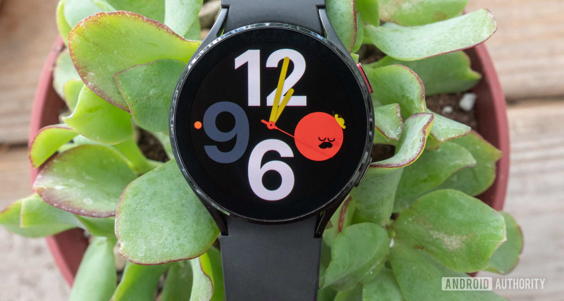 The Samsung Galaxy Watch 4 in a plant.