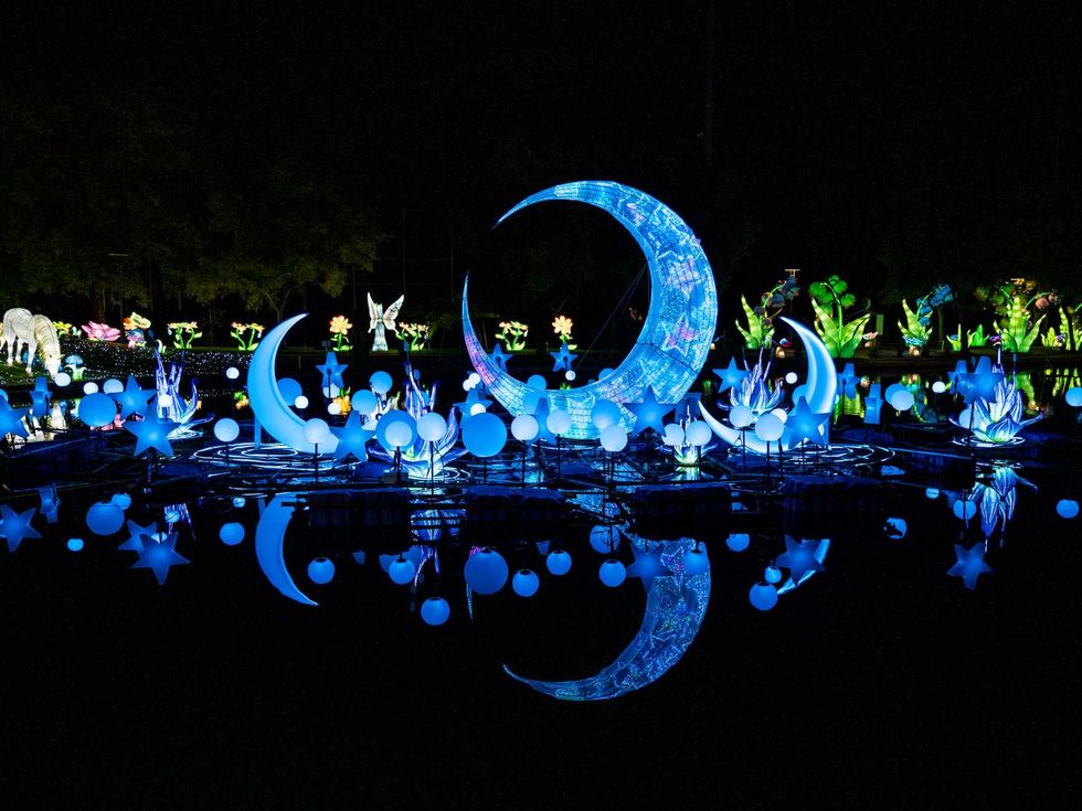 San Antonio Botanical Garden Illuminate