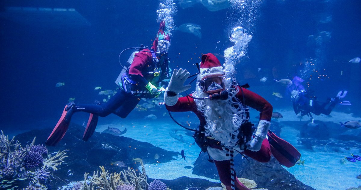 Adventure Aquarium’s Christmas Underwater brings Scuba Santa to the Ocean Realm